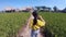 Girl walking on a pathway in Thai paddy field farming house area