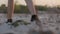 Girl walking on sand and tumbleweed