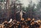 Girl walking on stack of tree trunk