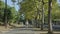 Girl walking throught cork tree alley street