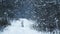 The girl is walking in the winter forest during a heavy snowfall. The girl got lost in the woods during a blizzard