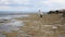 A girl walks along the rocky coast, looks into puddles in search of something interesting