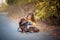 A girl walks through an autumn flogging with a dachshund dog. Child petting his dog