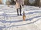A girl walks with a Bengal domestic cat on a snow road in winter.