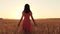 A girl walks through a wheat field at sunset.