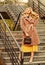 Girl warm coat stand urban stairs background. Create fall outfit to feel comfortable and pretty. Autumn outfit. Woman