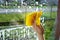 The girl washes the window with cleaning products and a rag. House cleaning