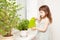 Girl watering basil in a pot on the windowsill