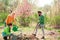 Girl watering plants in the garden at spring sunny day. Group of youth work in spring yard with garden tools. Friends