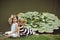 Girl wave hand at pond with water lily flowers