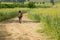 Girl wearing a backpack walking down on road alone