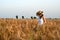 Girl in wheat field