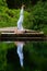 Girl in white doing yoga