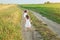 A girl in a white dress with a bouquet of clover flowers and a wreath in hair catches up with sister running along a sandy road in