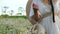 Girl in a white dress in the chamomile thickets. Wicker hat behind the girl`s back. Beautiful summer rustic shot.