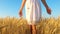 Girl in white dress goes to field of golden wheat, hands of girl touch mature wheat ears