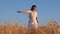 Girl in white dress goes to field of ripe wheat, hands of girl touch the mature ears of wheat, slow motion. agricultural