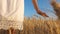Girl in white dress goes to field of ripe wheat, hands of girl touch the mature ears of wheat, slow motion, close-up