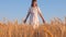 Girl in white dress goes to field of ripe wheat, hands of girl touch the mature ears of wheat, slow motion. Ripe wheat