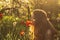 Girl in white dress smelling tulip in sunset among fluff, dandelions and cherry flowers