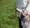 Girl in a white sweater and black jeans is standing next to the dog Alaskan Malamute