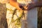 A girl in white traditional Slavic dress wreathes a wreath of fresh wildflowers at sunset. Russian traditions