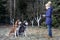 Girl in winter clothes trains husky dogs in European Park. Mistress is teaching the Siberian husky to obey the command to Sit
