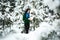 Girl in the winter forest. portrait of a girl. Girl in the winter walks in the woods. snow pours from branch