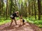 The girl or woman trains German Shepherd dog in the spring, summer, and autumn forest. Walk and work with the dog