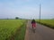 The girl wore hijab is cycling between Karawang rice fields