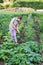 Girl working on a garden