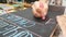 Girl writing chalk on a blackboard