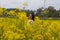 A girl in a yellow flower field, a beautiful spring landscape, a bright sunny day, canola.