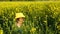 A girl in a yellow hat hides in the tall grass and jumps out at the sun in a summer blooming field. Summer time, sunset, holidays,