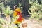 A girl in a yellow jacket with a backpack and a basket goes through the forest to collect mushrooms