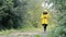 A girl in a yellow raincoat stands in the forest on the road and uses a mobile phone