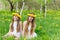 Girlfriends are sitting in the grass with wreaths of dandelions