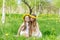 Girlfriends are sitting in the grass with wreaths of dandelions