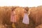 Girlfriends tickle each other`s nose with spikelets of rye. Little girls in straw hat are having fun