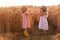 Girlfriends tickle each other`s nose with spikelets of rye. Little girls in straw hat are having fun