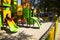 Girlie climbing on jungle gym