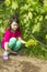 Girlie in a summer garden near grapes plants