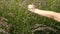 Girls hand touching the grass at field