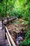 Girls are happy to travel to the mangrove forest. She is walking on a wooden bridge. Nature trail, Thanbok waterfall, recreation,