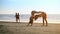 Girls Hold Yoga Position on Beach against Ocean under Sky
