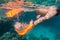 Girls legs in orange flippers underwater in sea near coral reef