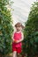 Girls picked tomatoes