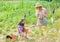 Girls planting plants. Agriculture concept. Growing vegetables. Rustic children working in garden. Planting and watering