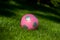 Girls\' soccer ball in grass