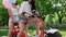 girls with sweet cotton in short shorts ride an electric scooter in the Park